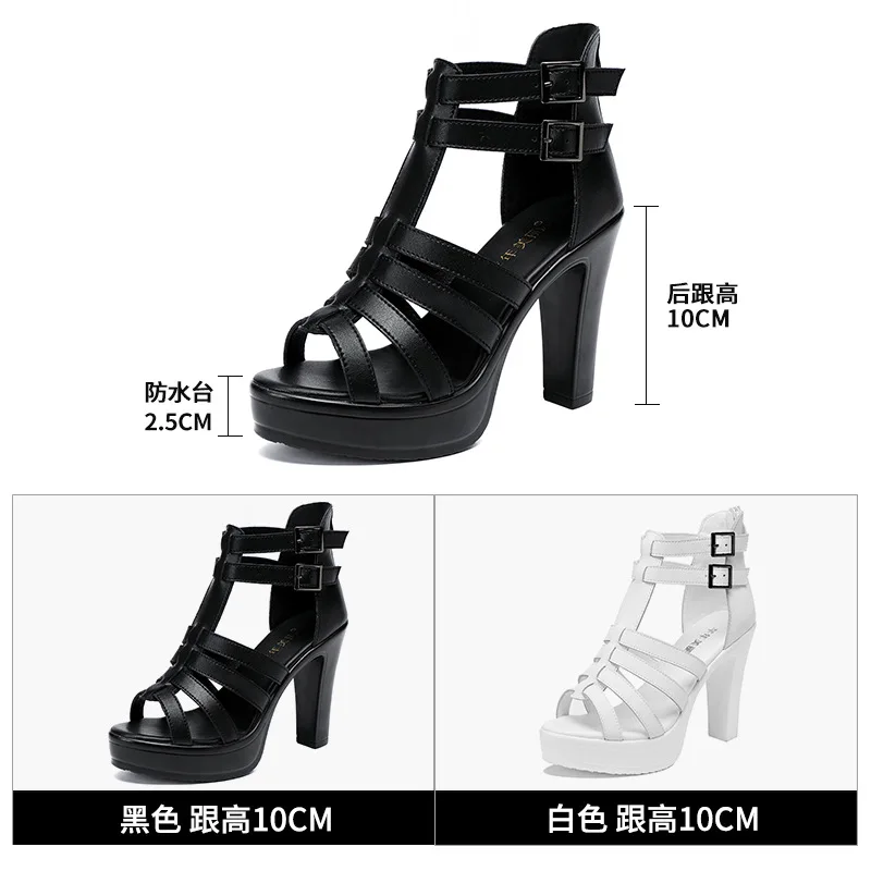 Gladiator Ladies Shoe for Wome - Summer Clothing Sale recension och pris