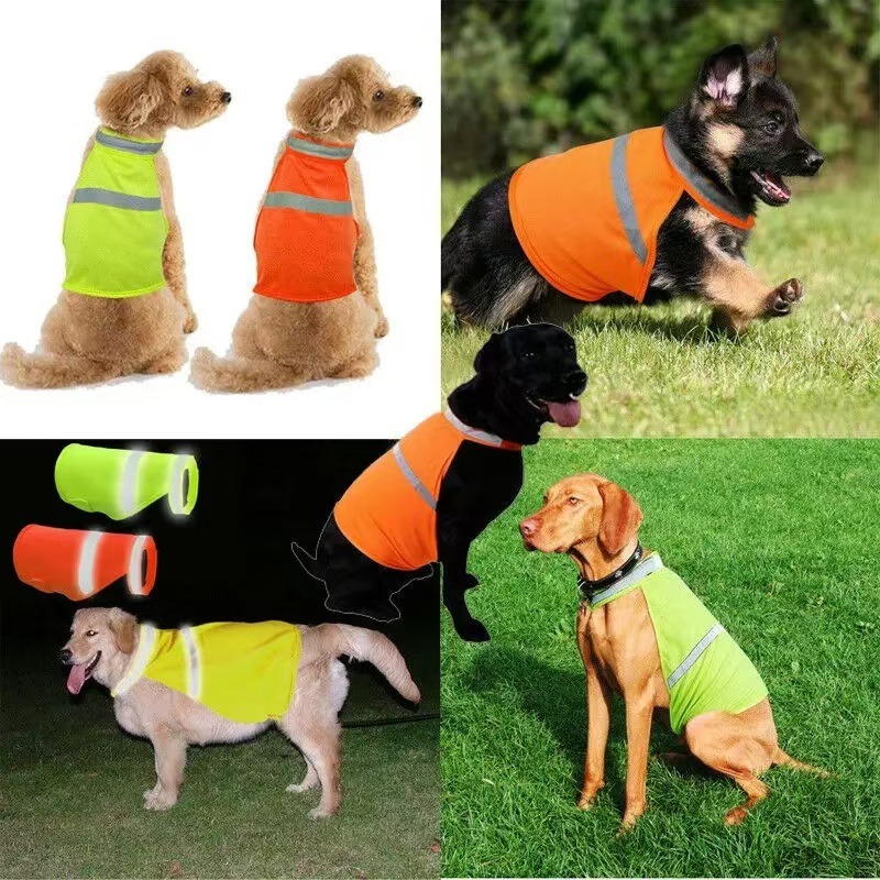 Durable Fluorescent Pink Dog C - Summer Nights Clothing recension och pris
