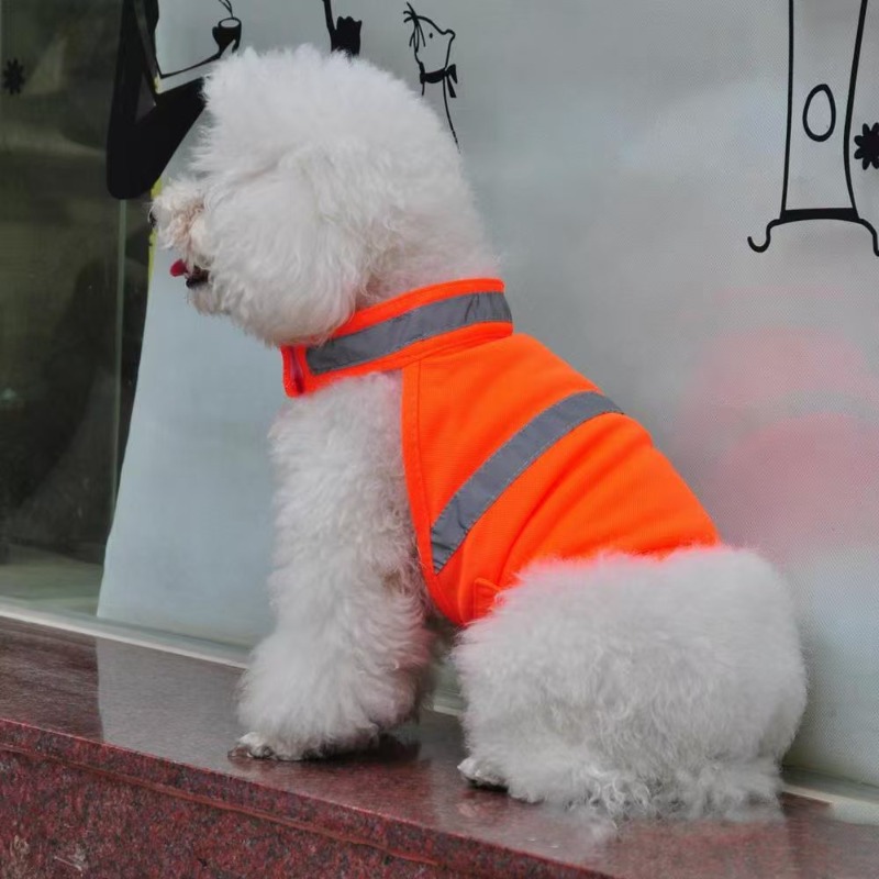 Durable Fluorescent Pink Dog C - Summer Nights Clothing recension och pris