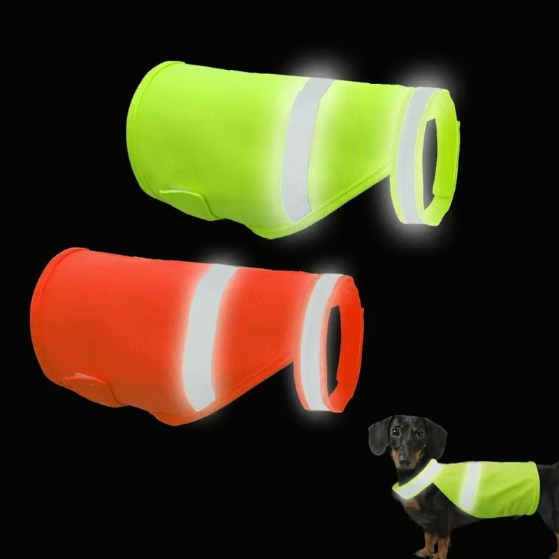 Durable Fluorescent Pink Dog C - Summer Nights Clothing recension och pris